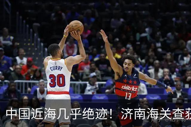 中国近海几乎绝迹！济南海关查获17只手镯，竟是由极危'国宝'制成