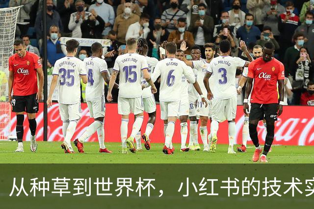 从种草到世界杯，小红书的技术实力藏不住了