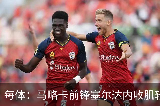 每体：马略卡前锋塞尔达内收肌轻微撕裂，预计缺阵2周