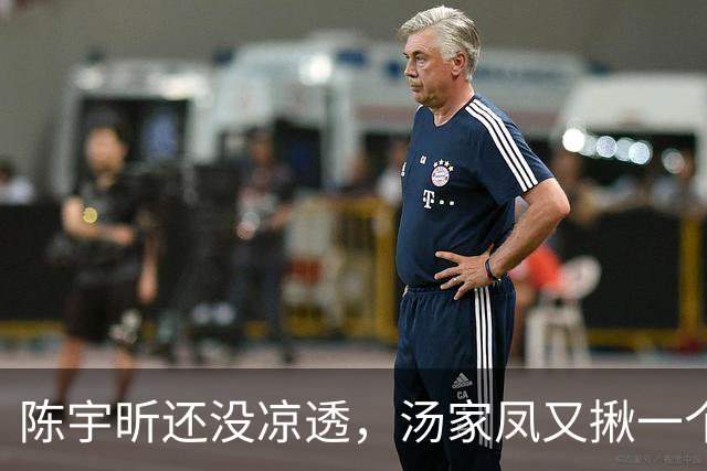 陈宇昕还没凉透，汤家凤又揪一个“精日”人员：竟然还是公司老板