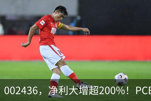 002436，净利大增超200%！PCB，业绩集体爆发